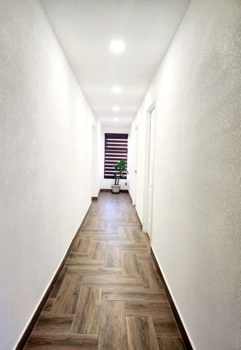 * Elegante * Departamento Pitagoras 4 Apartment Сиудад Хуарес Екстериор снимка